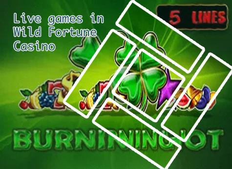 Wild fortune casino
